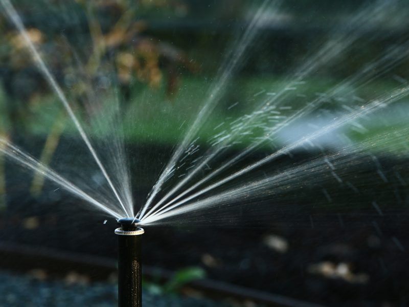 University Sprinklers