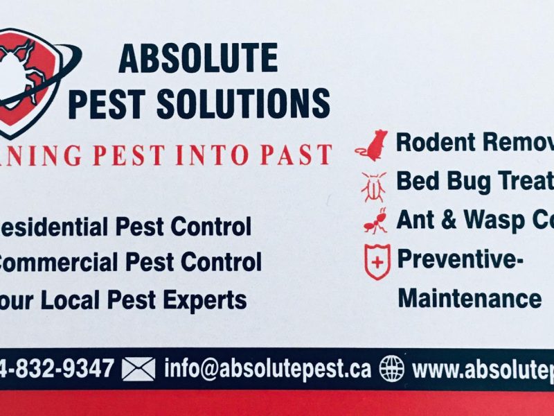 Absolute Pest Solutions