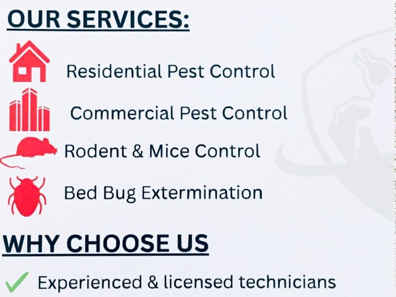 Absolute Pest Solutions