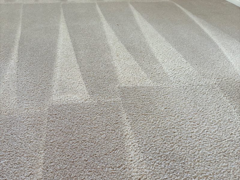 Spots Carpet Cleaning