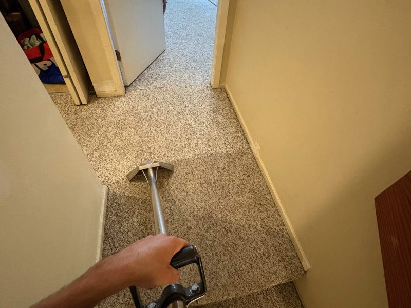 Spots Carpet Cleaning