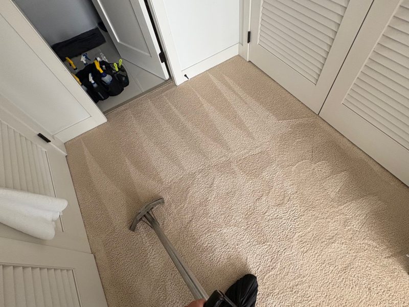 Spots Carpet Cleaning