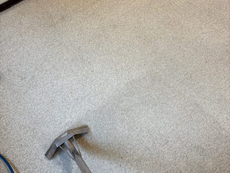 Spots Carpet Cleaning
