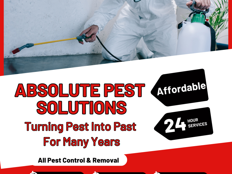Absolute Pest Solutions