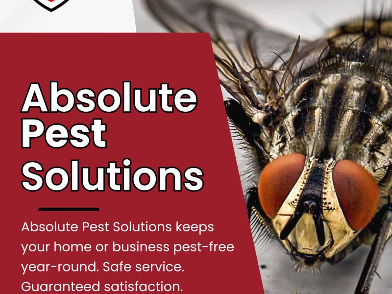 Absolute Pest Solutions