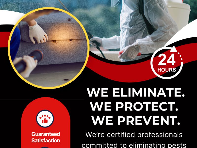 Absolute Pest Solutions