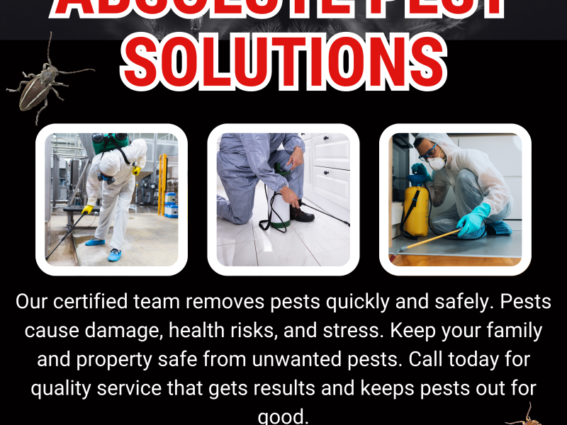 Absolute Pest Solutions