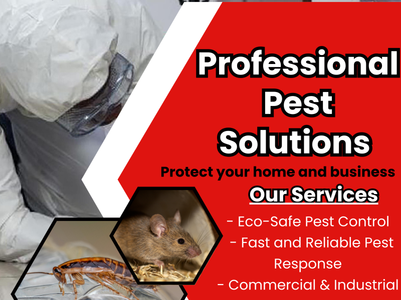 Absolute Pest Solutions