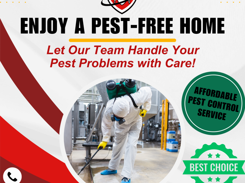Absolute Pest Solutions