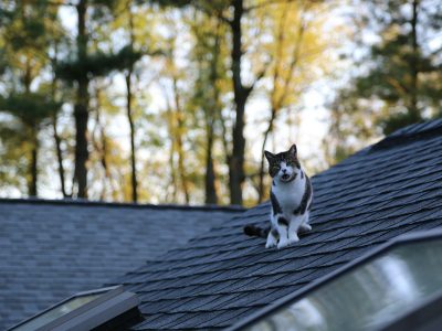 how much snow can a roof hold in Canada