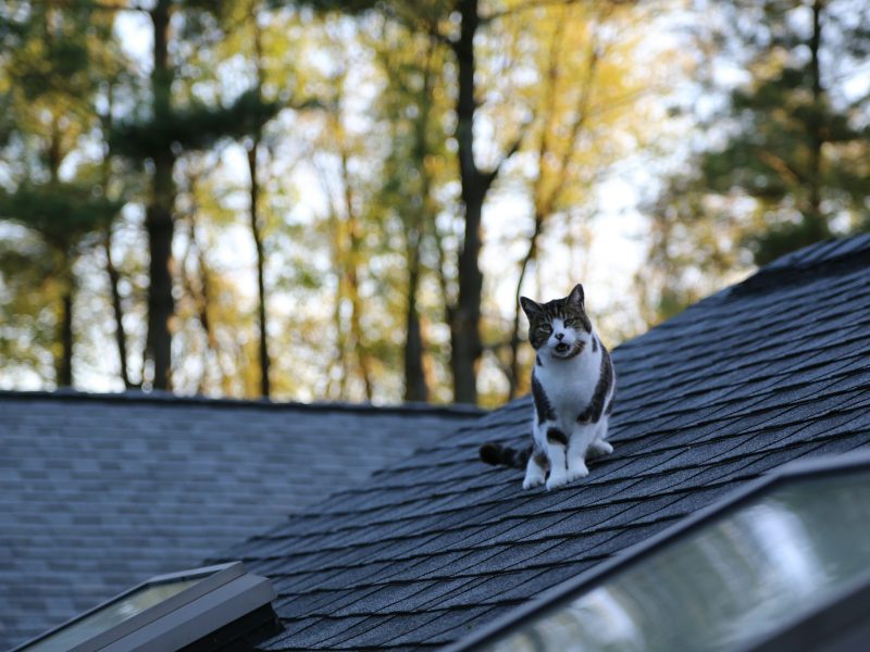how much snow can a roof hold in Canada