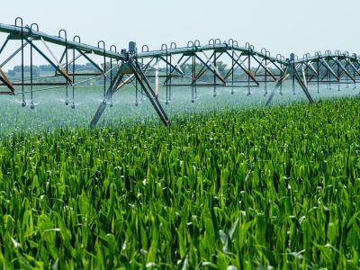 how to choose the best irrigation company