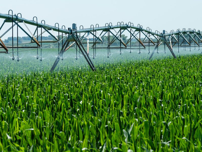 how to choose the best irrigation company