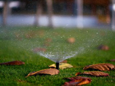 how to reset a rain bird controller