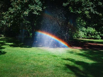how to reset a rain bird sprinkler timer