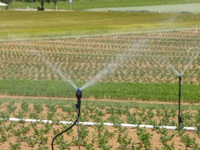 irrigation services near me