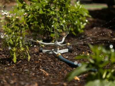 rainwater harvesting for irrigation
