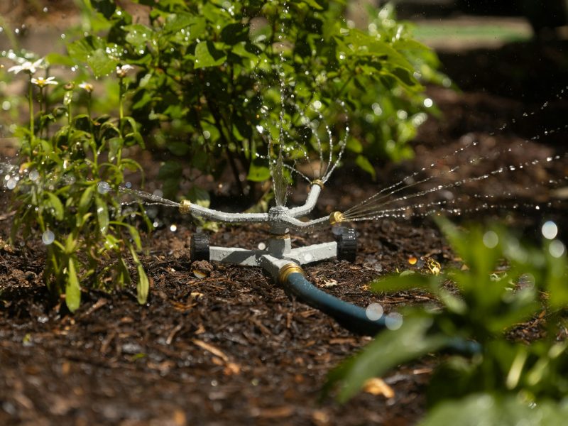 rainwater harvesting for irrigation