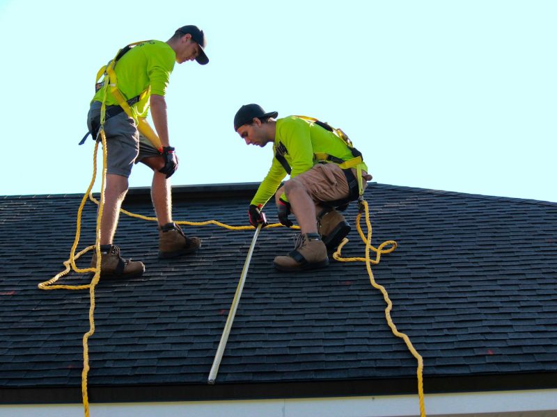 roof sheathing replacement guide