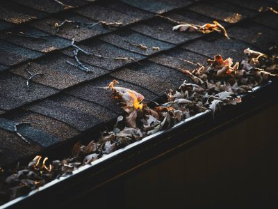 regular gutter cleaning