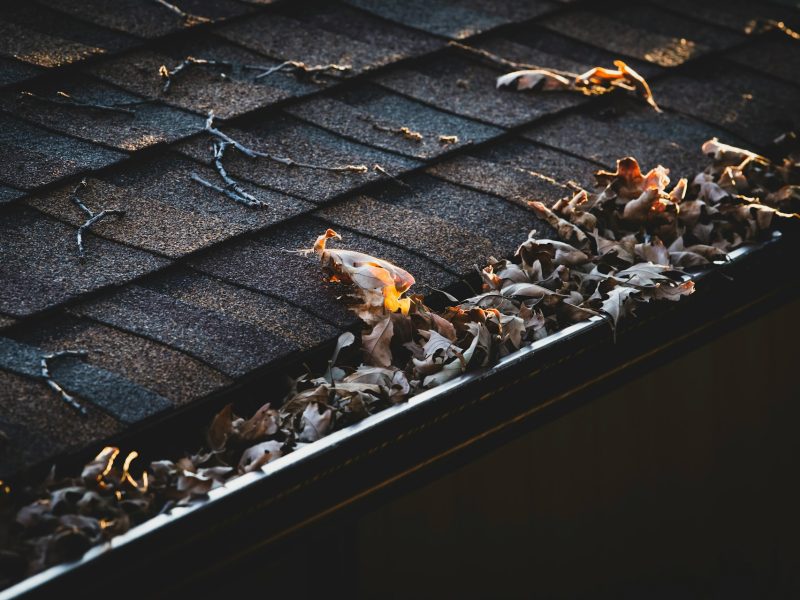 regular gutter cleaning