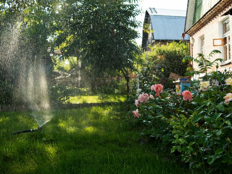 richmond irrigation