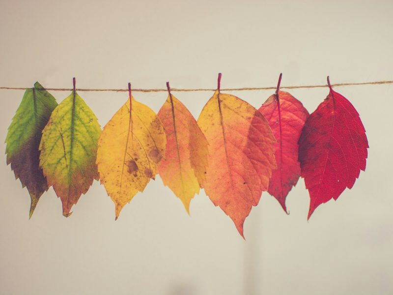 seasonal home maintenance