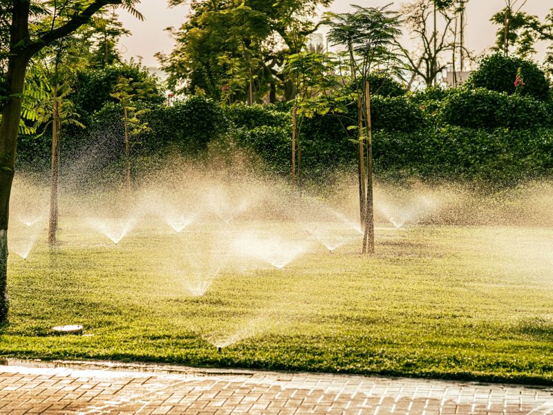 top irrigation companies in vancouver