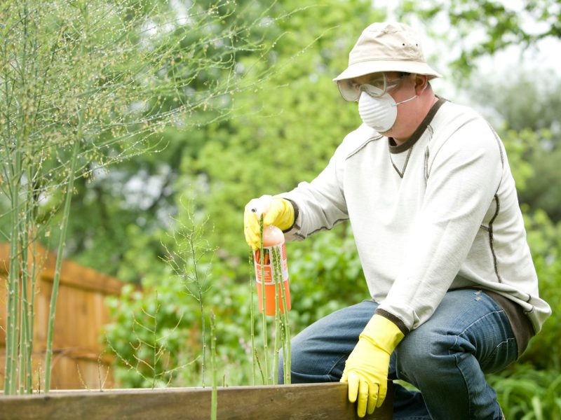 residential pest control tips