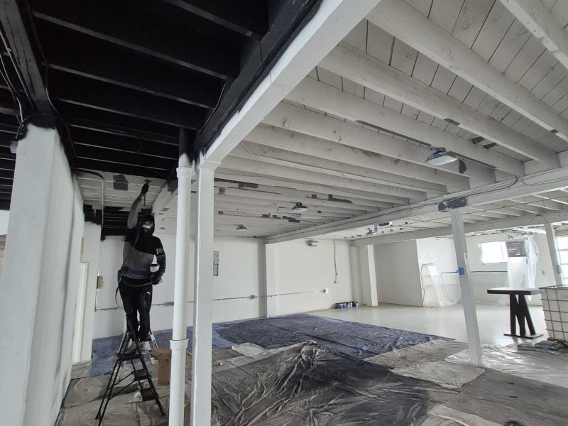 Davor's Painting Co.
