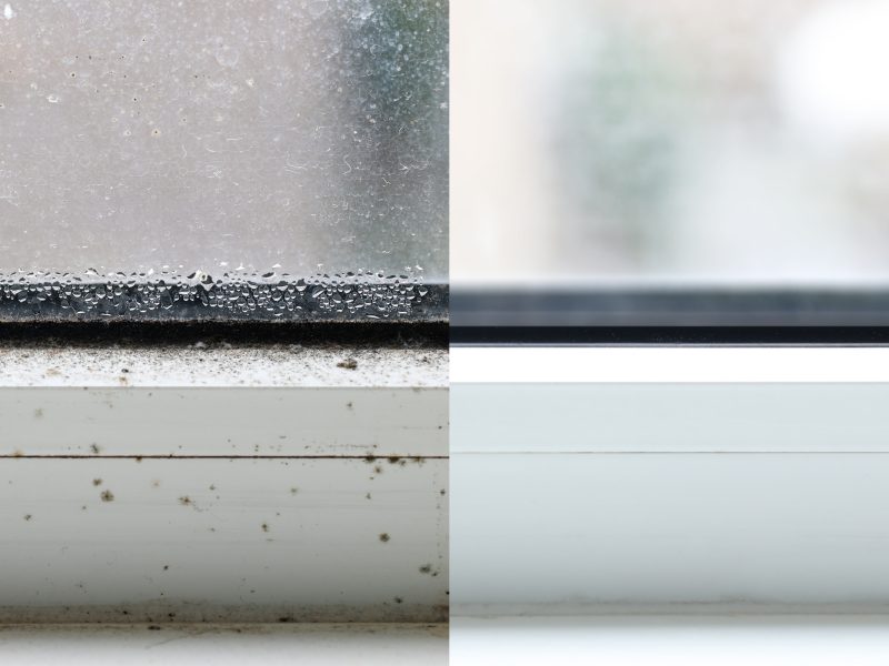 BRIGHT NEST CLEANING