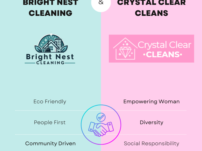 BRIGHT NEST CLEANING