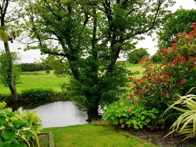 low-maintenance landscaping