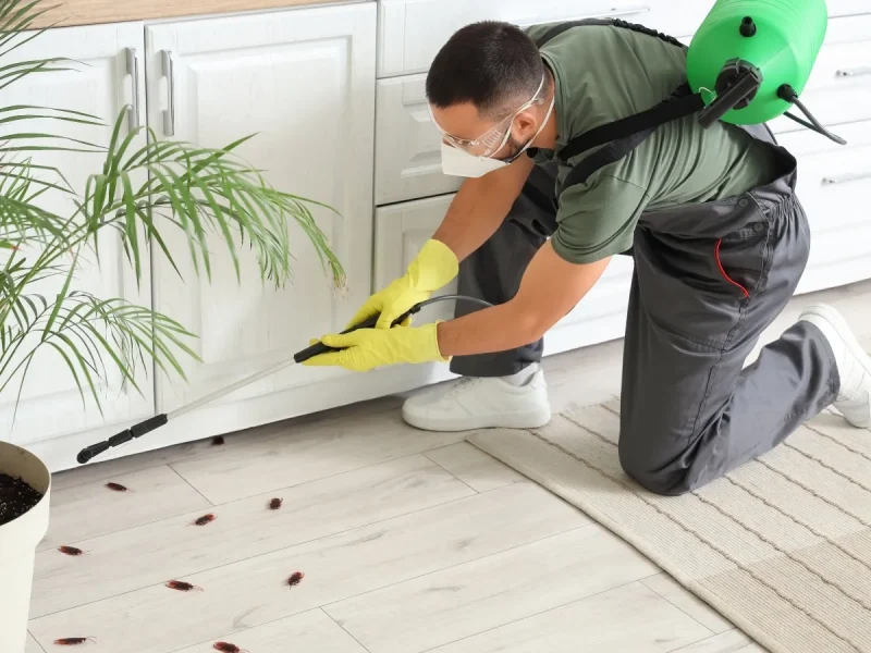 attic pest control BC