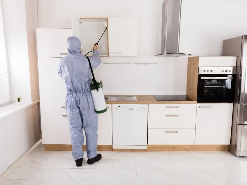 local pest control BC