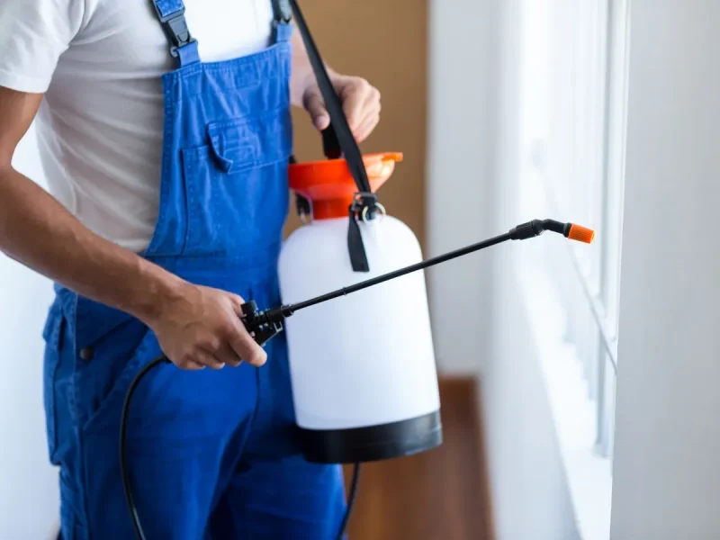 outdoor pest control BC