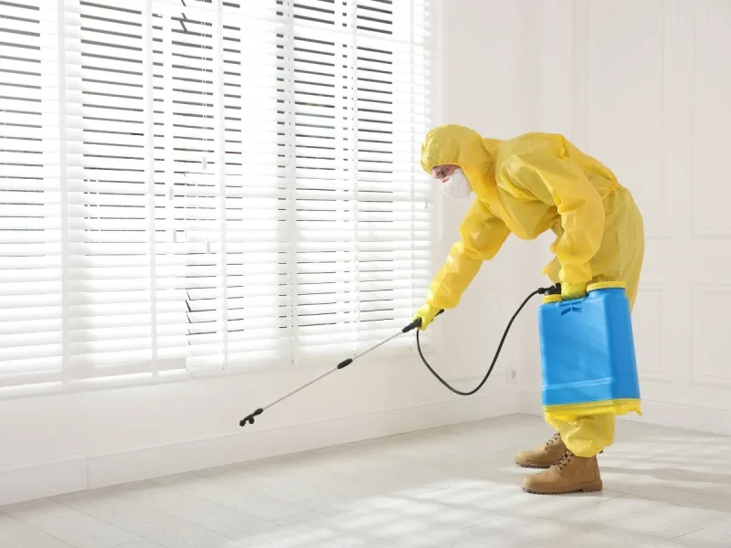 pest control timeline BC