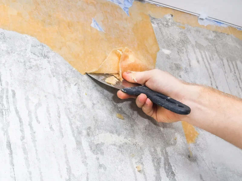 new construction painting cost Langley