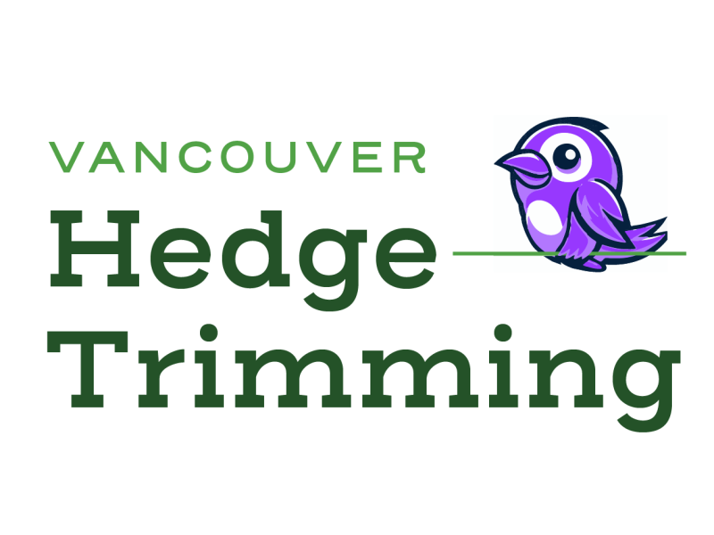 Vancouver Hedge Trimming
